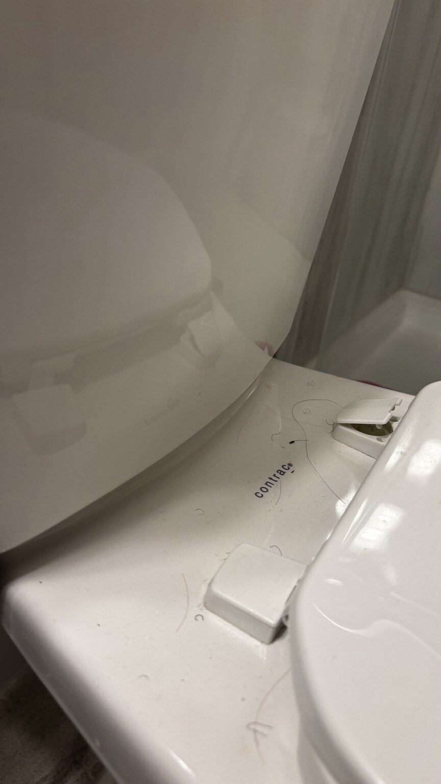 Often-missed toilet details before cleaning